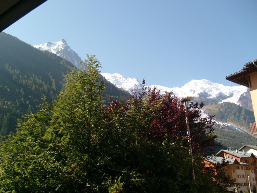 Appartement T2 Chamonix Centre Balcon Vue Mont Blanc Luaran gambar